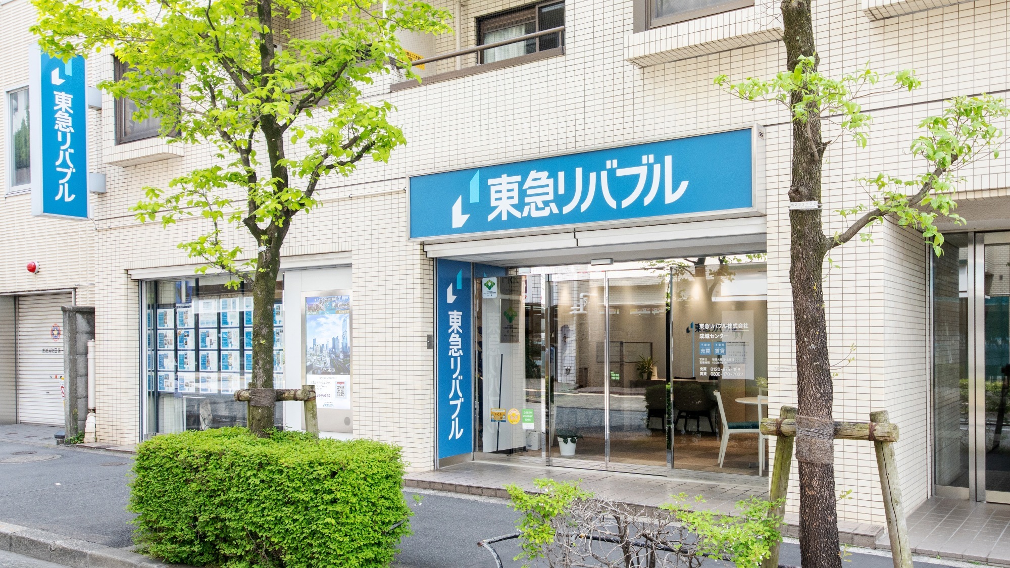 �c�Ə��ʐ^