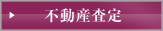 �s���Y����