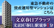 �����t���v���b�c
