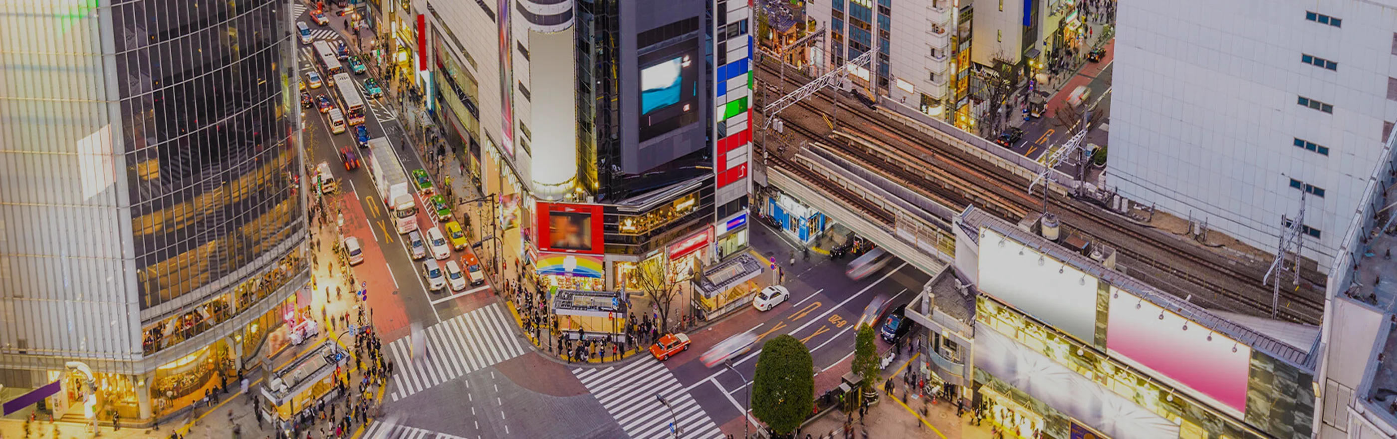 マンション・不動産特集