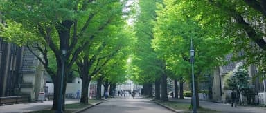 文京区