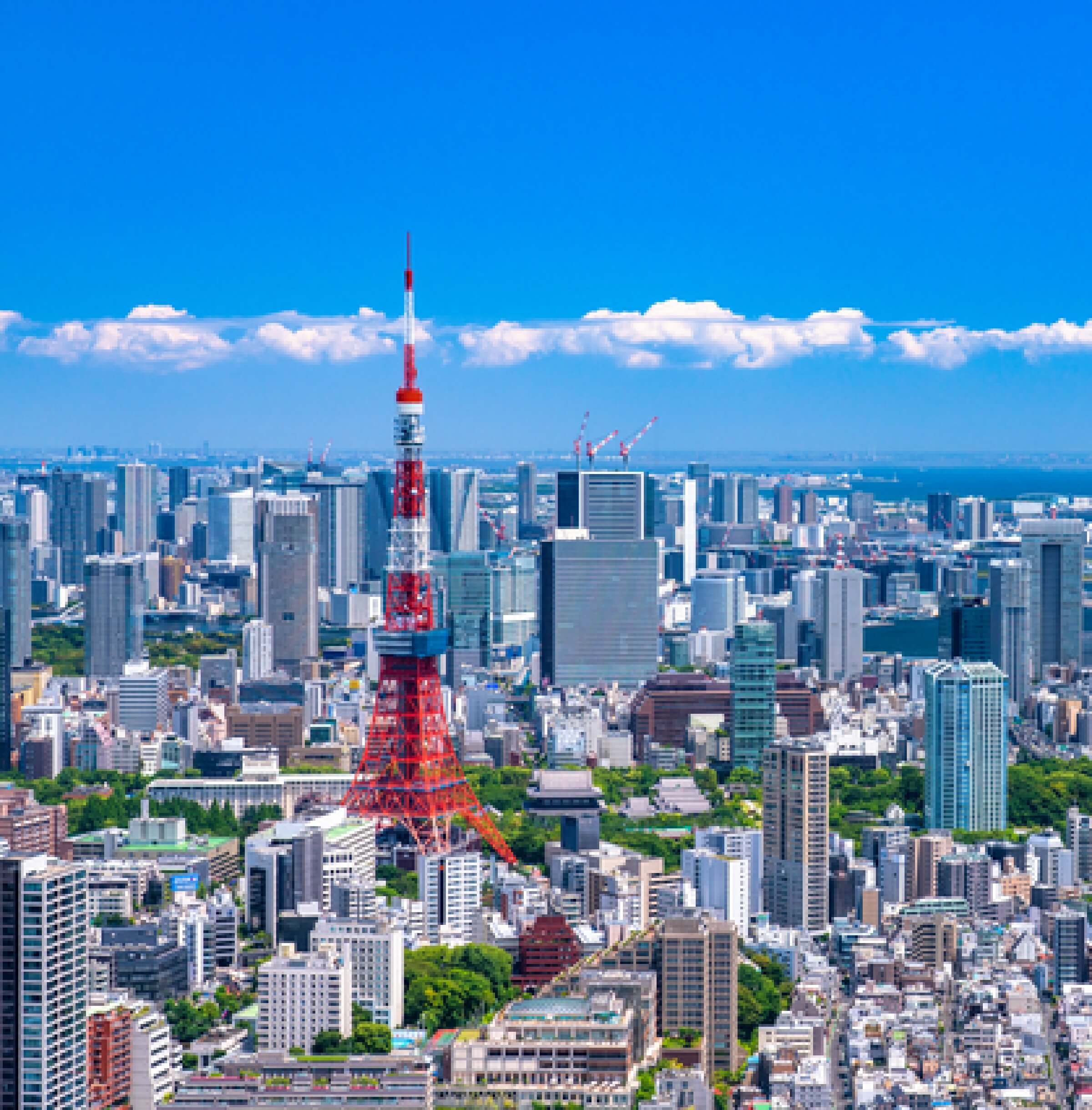 マーケットレポート