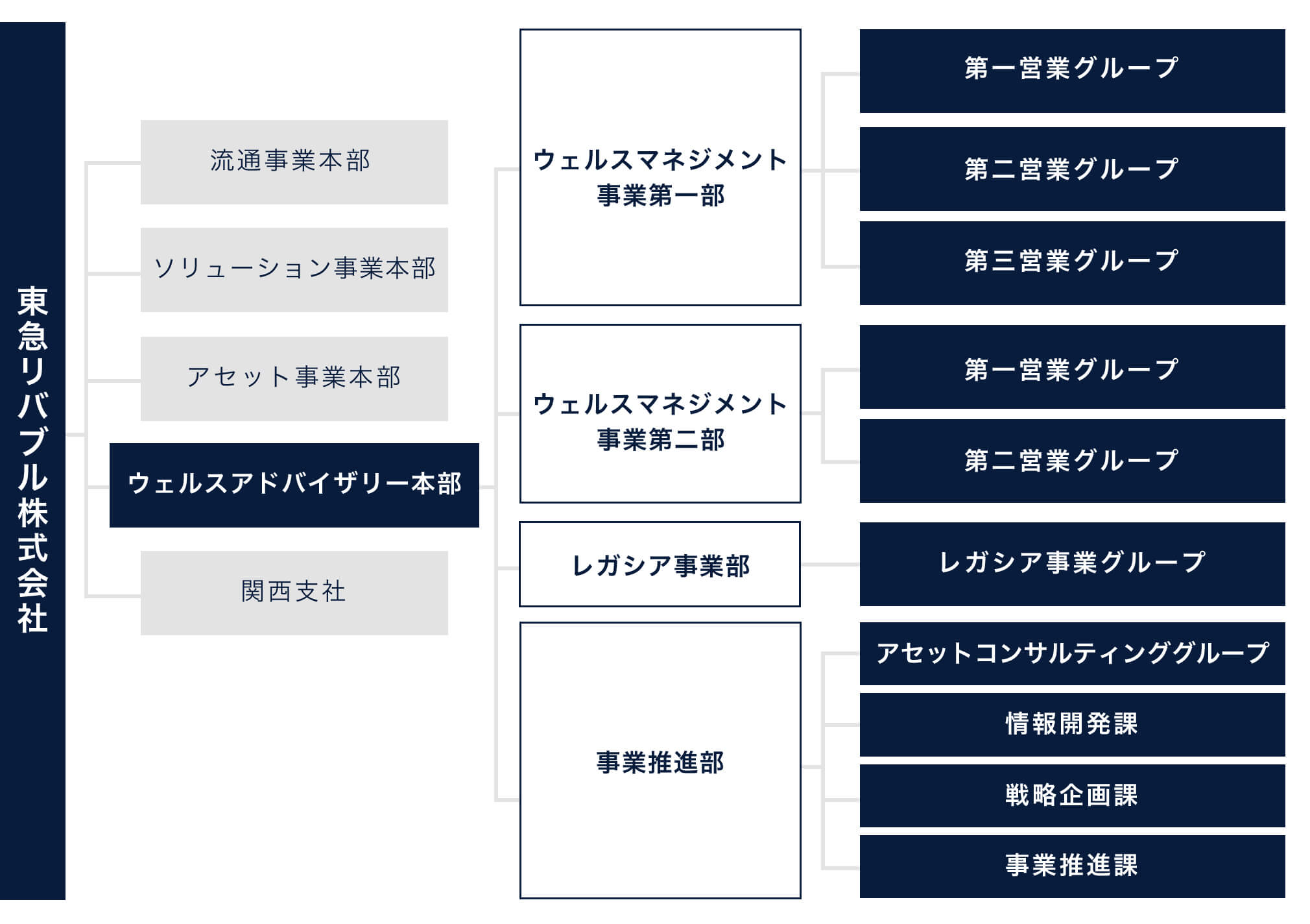 組織概要