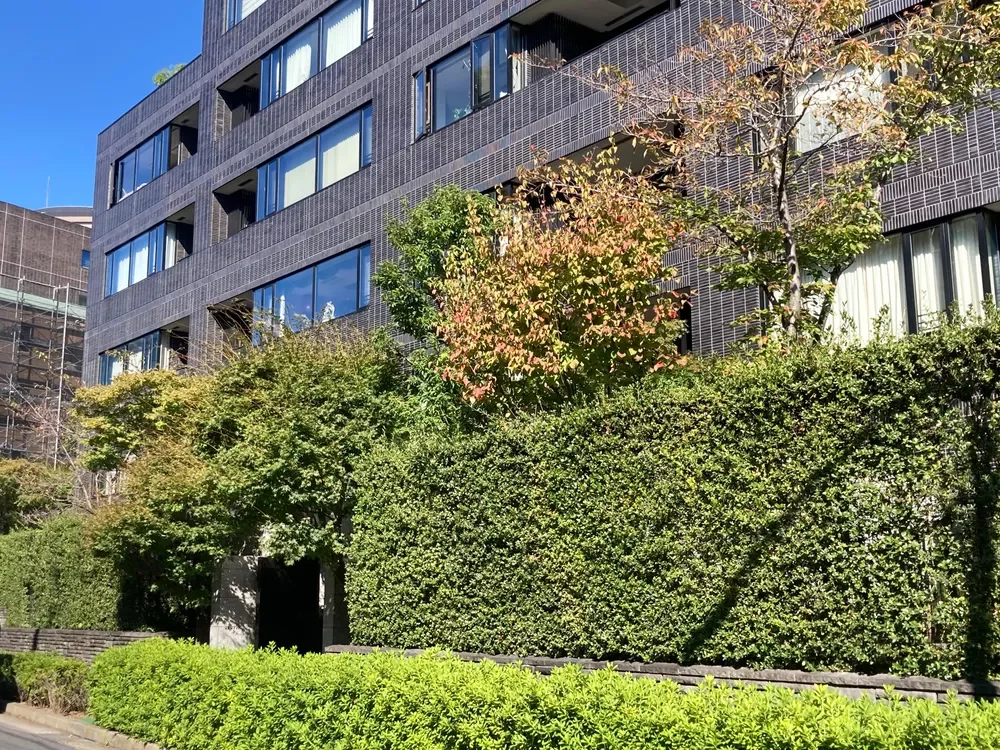 南青山テラス常盤松フォレスト