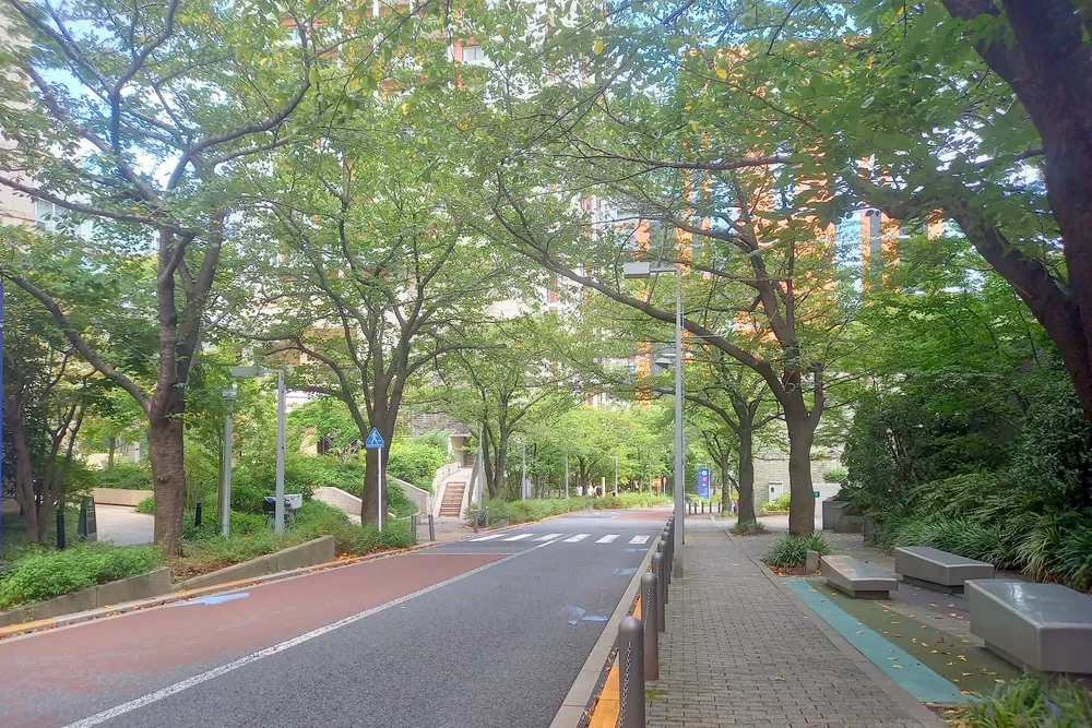 六本木さくら坂