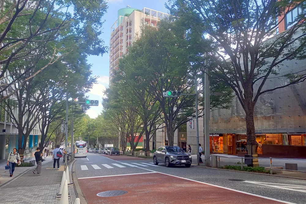 六本木けやき坂通り