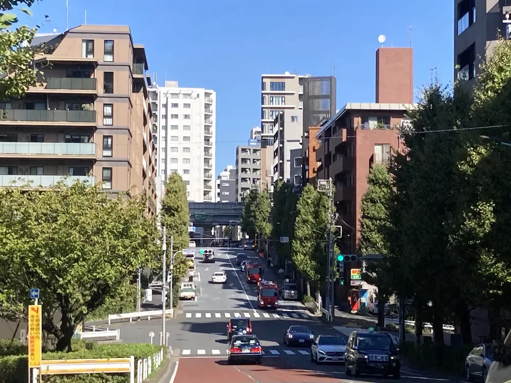 駒沢通りから見える常盤松ハウス