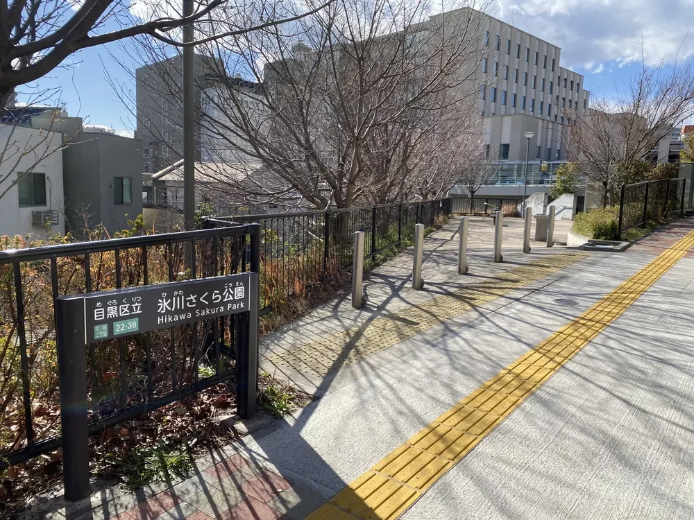 氷川さくら公園