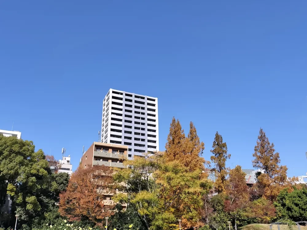 ジオタワー京町堀 遠景