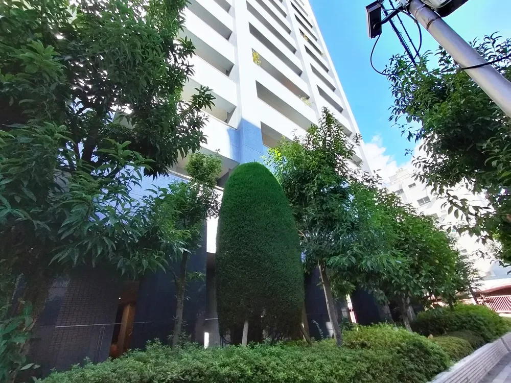 ジオタワー京町堀 植栽