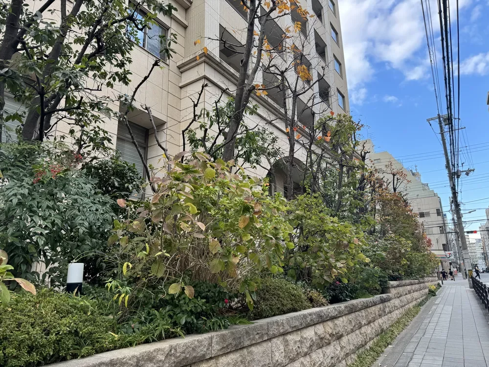 グランドメゾン大手前タワー 植栽