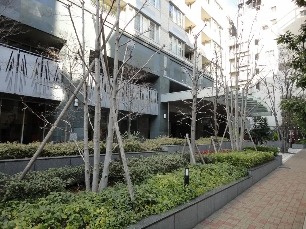 ビオール大阪大手前タワー アプローチ