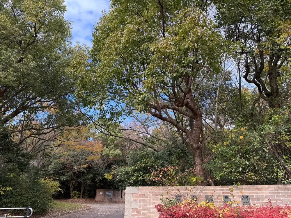 野鳥園臨港緑地（南港野鳥園）