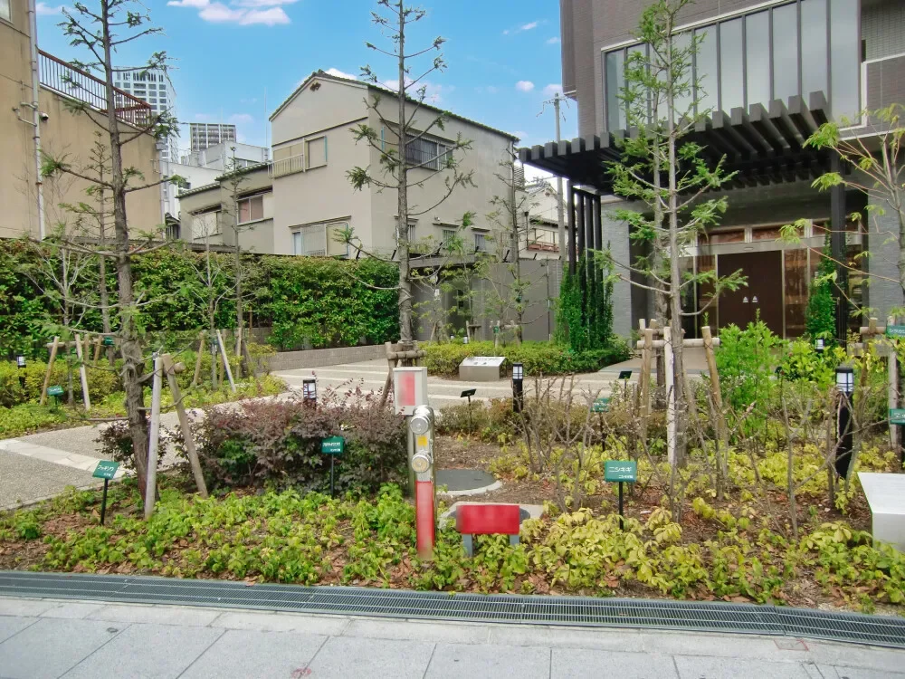 ベリスタタワー福島 植栽