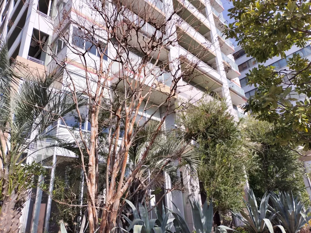 アデニウムタワー梅田イーストスクエア 外観