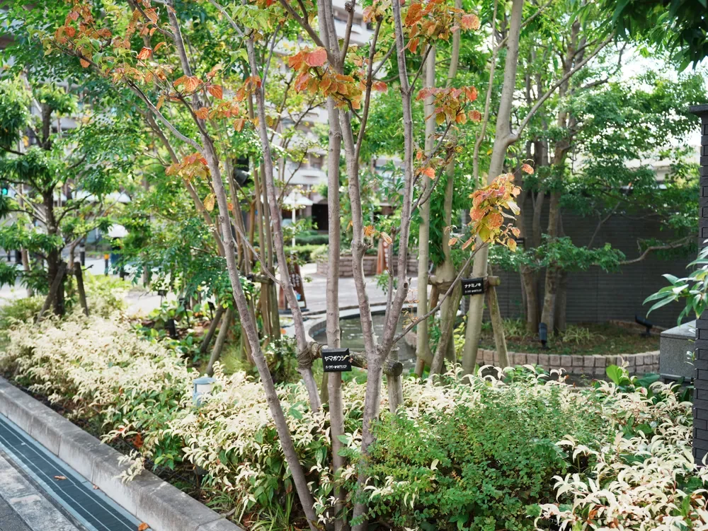 パークタワーあべのグランエア  周辺