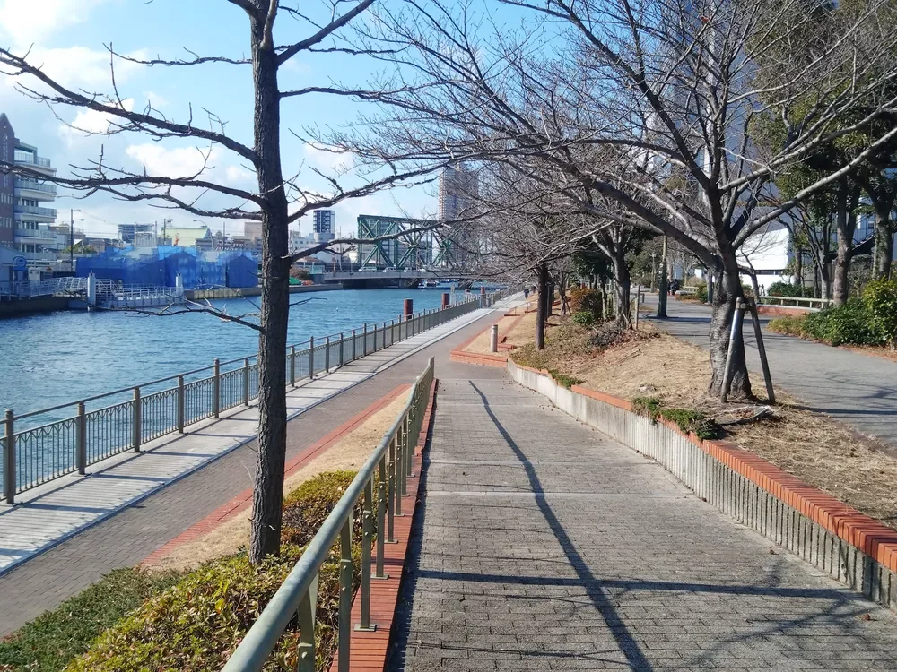 尻無川の遊歩道