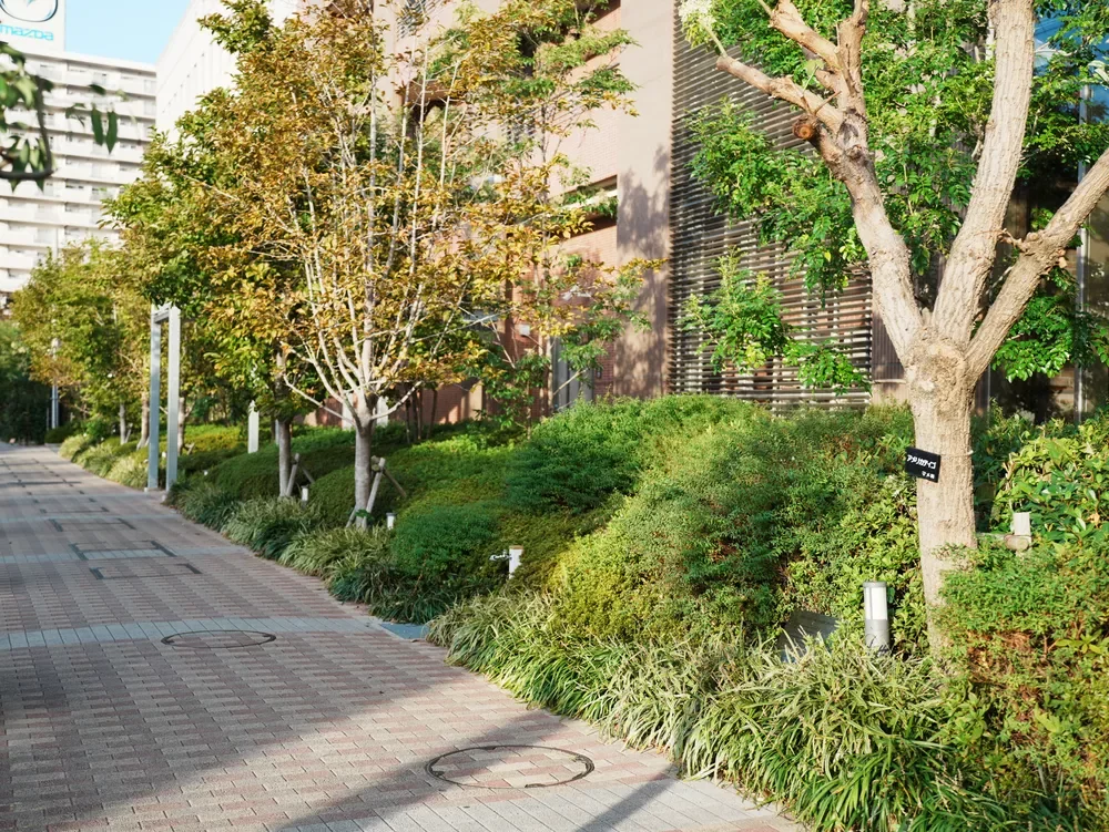 阿波座ライズタワーズ フラッグ46OMPタワー　周辺