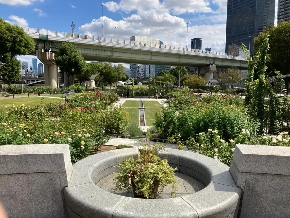 取材時(10月)のバラ園の様子