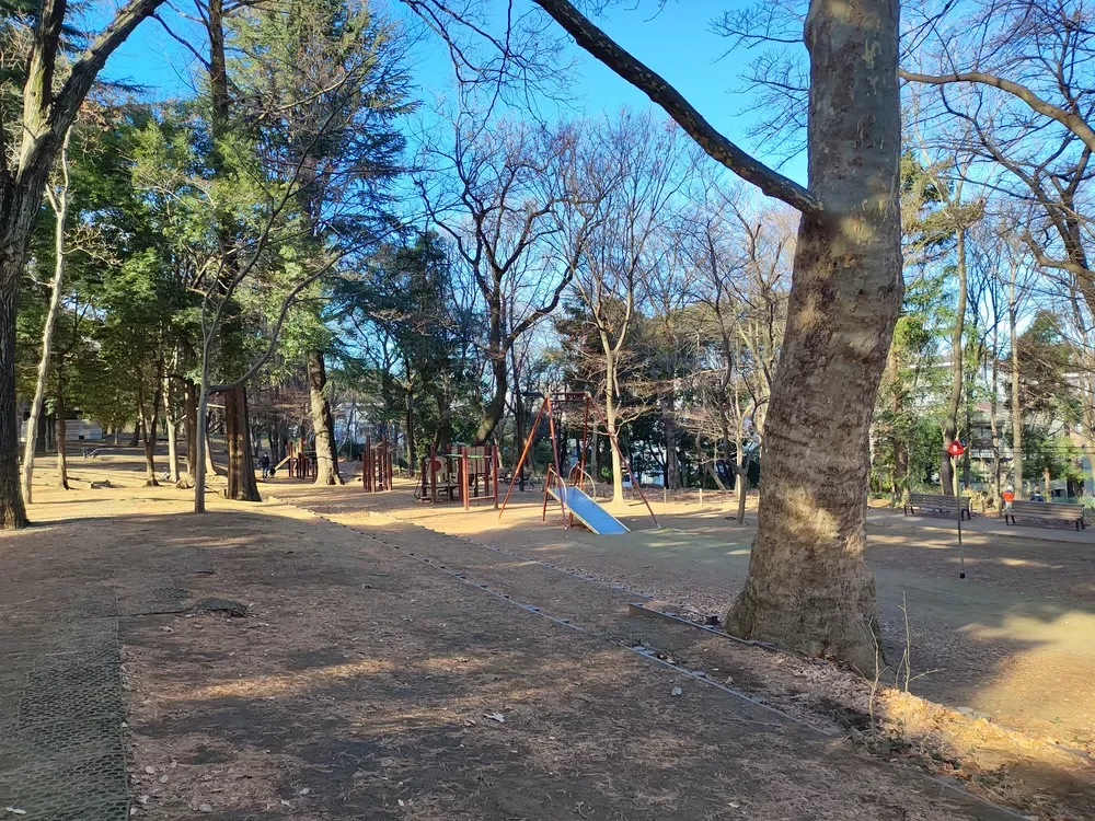林試の森公園