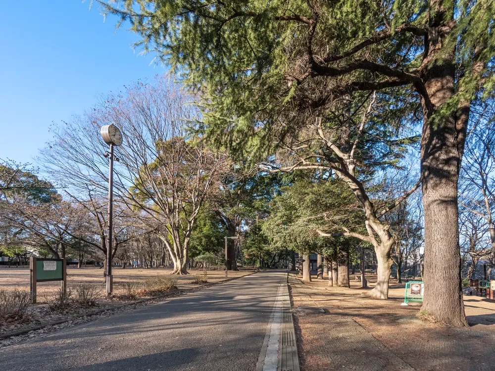 都立 林試の森公園
