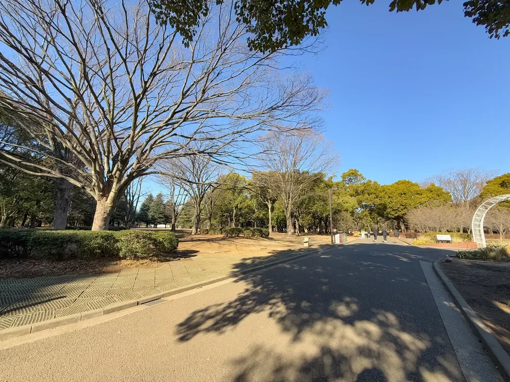 代々木公園