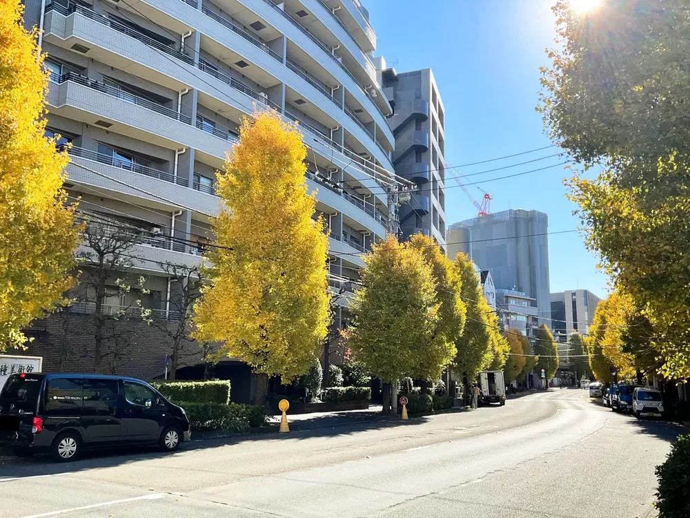 イトーピア広尾ヒルズクローチェ 並木道