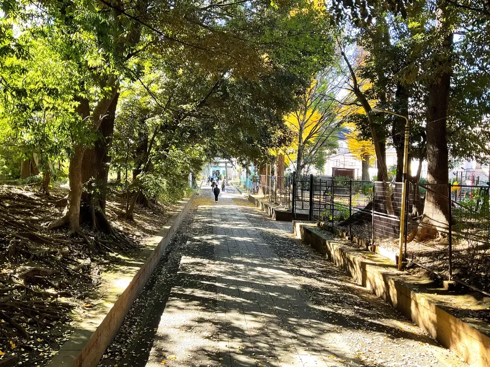渋谷氷川神社参道