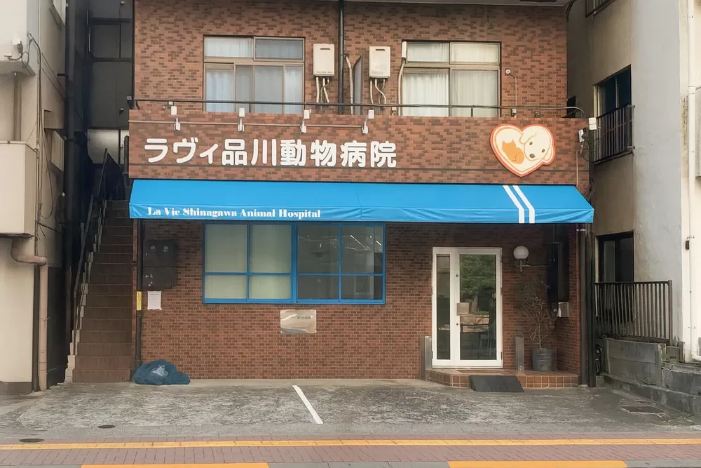 ラヴィ品川動物病院