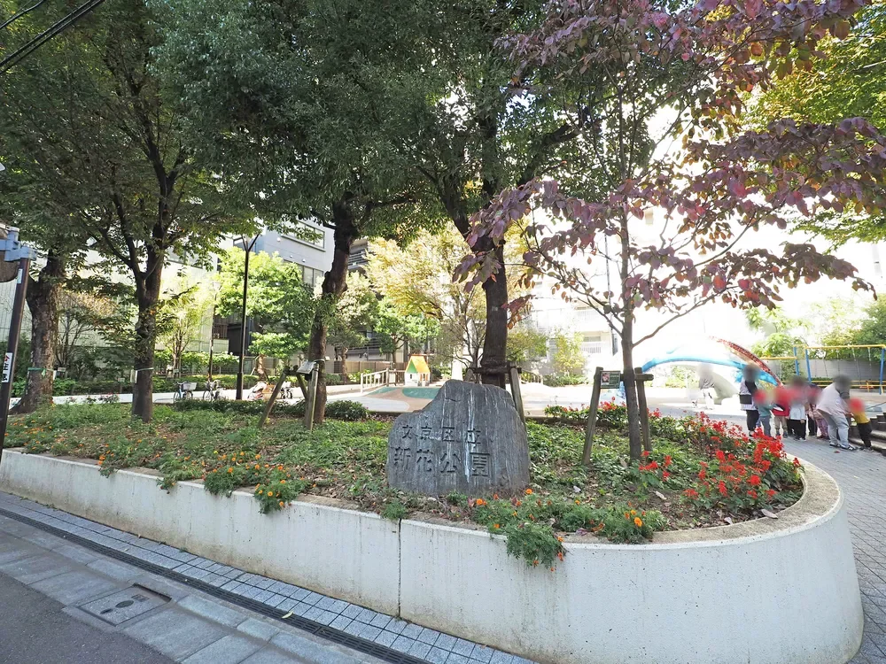 文京区立新花公園