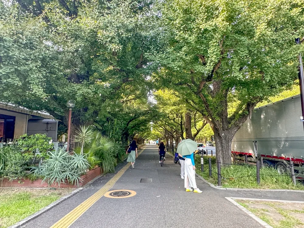 明治神宮外苑のいちょう並木