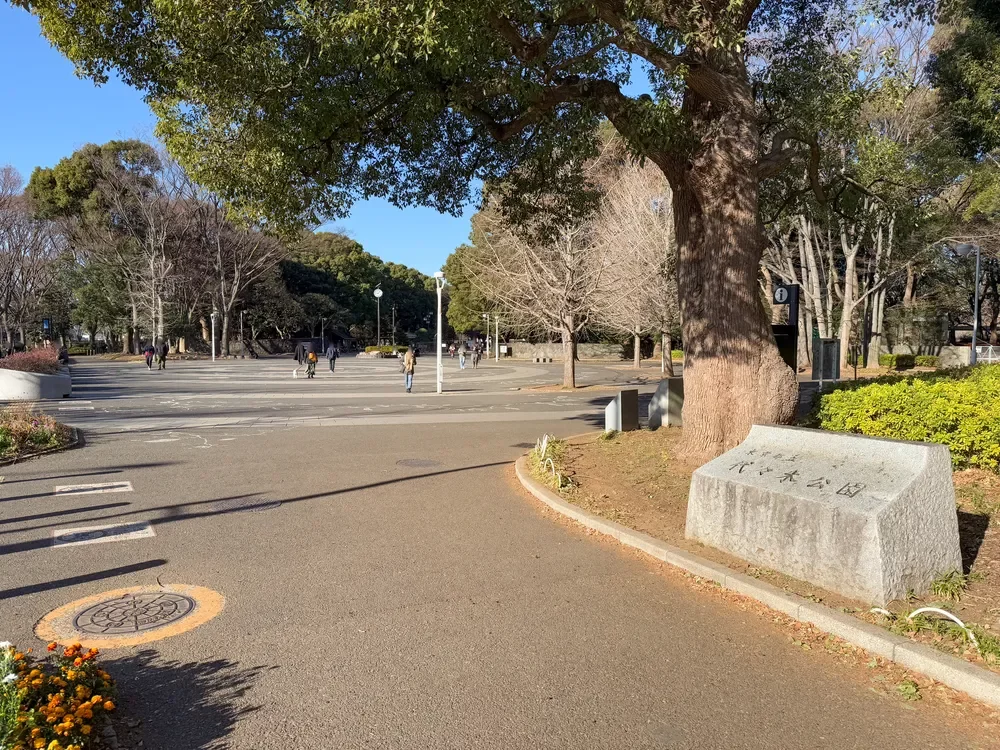 代々木公園
