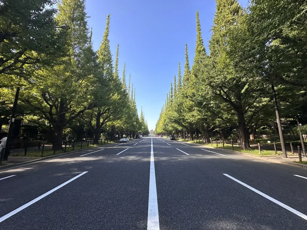 神宮外苑いちょう並木