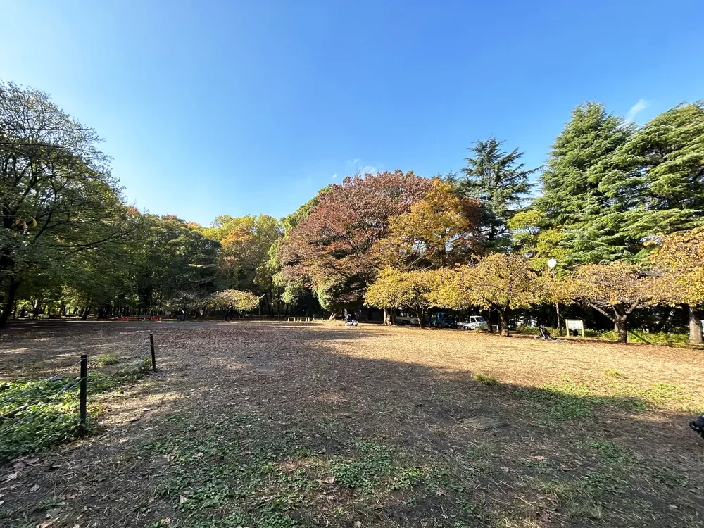 林試の森公園
