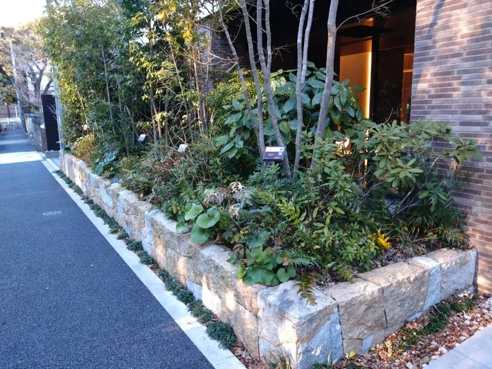 グランドメゾン白金台五丁目 植栽