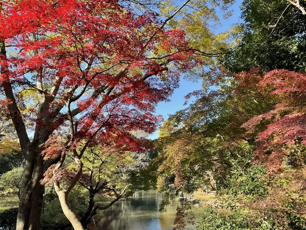 有栖川宮記念公園