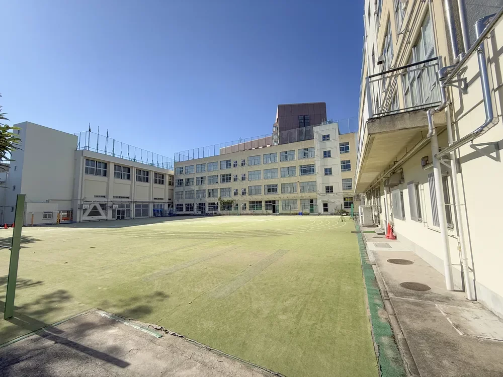 関口台町小学校