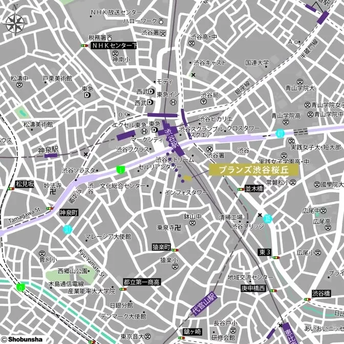 ブランズ渋谷桜丘　周辺マップ