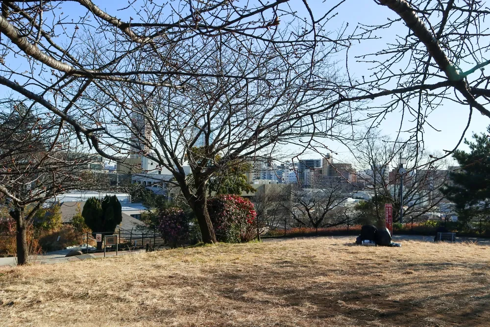 西郷山公園
