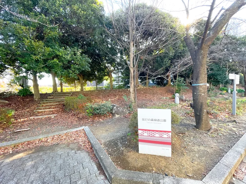 辰巳の森緑道公園