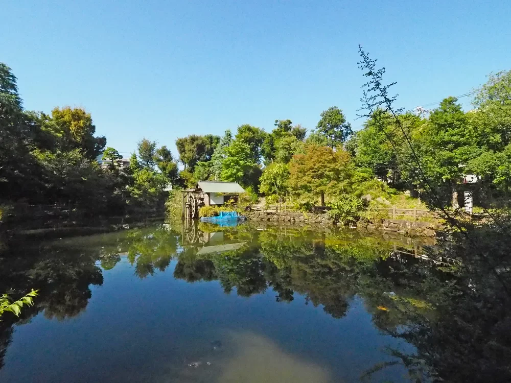 渋谷区立鍋島松濤公園