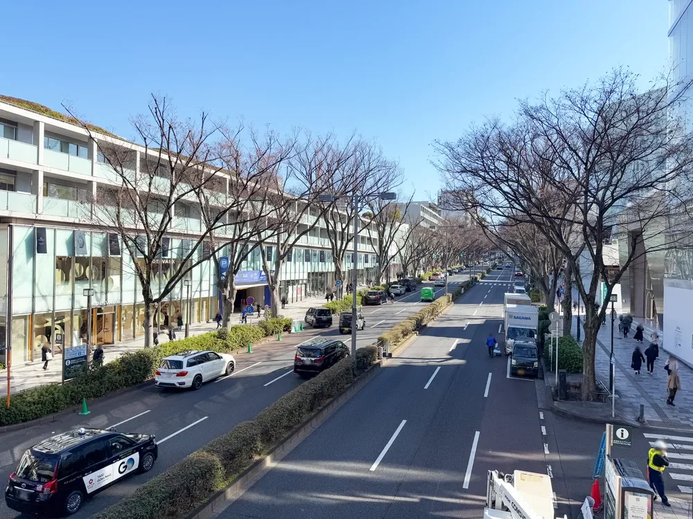 表参道けやき通り