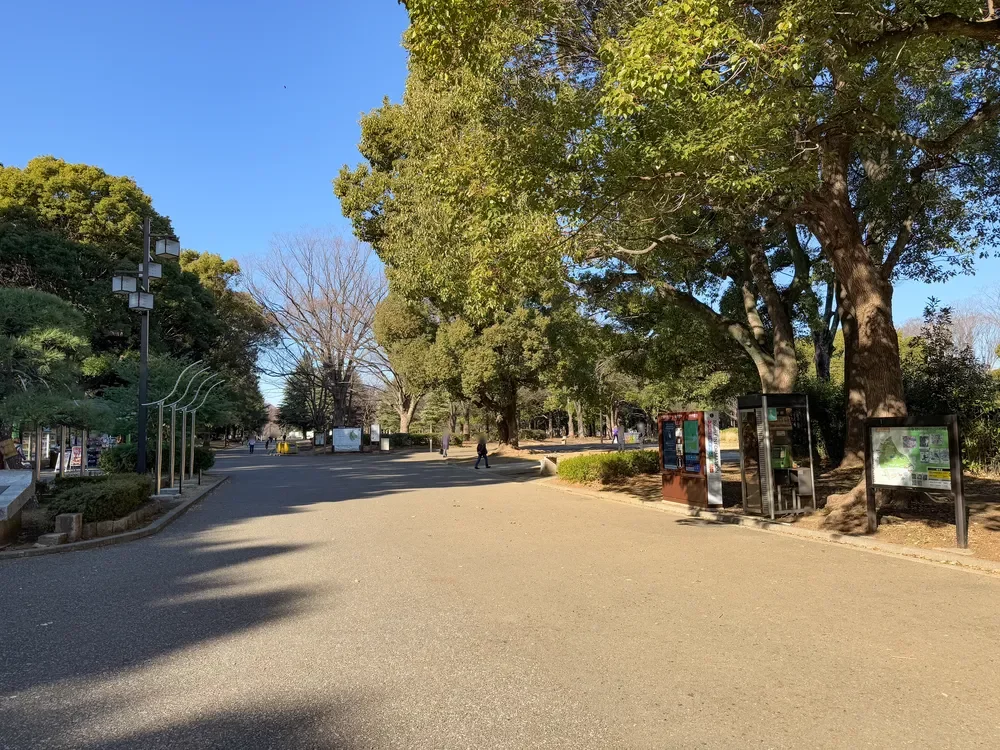 代々木公園