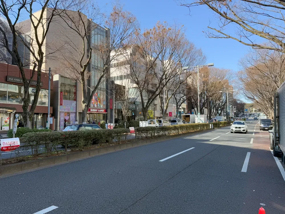 表参道けやき通り