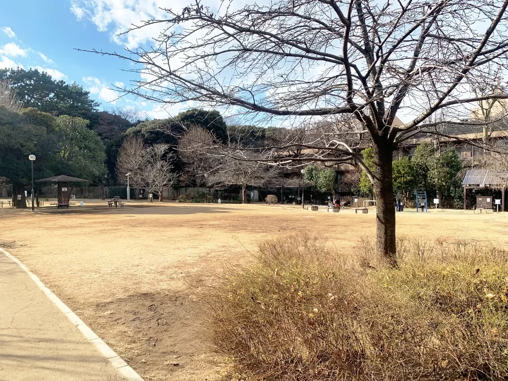 白金台どんぐり児童遊園