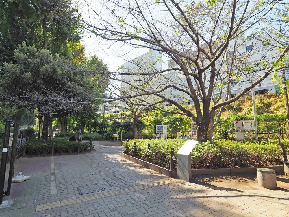 渋谷区立神宮通公園