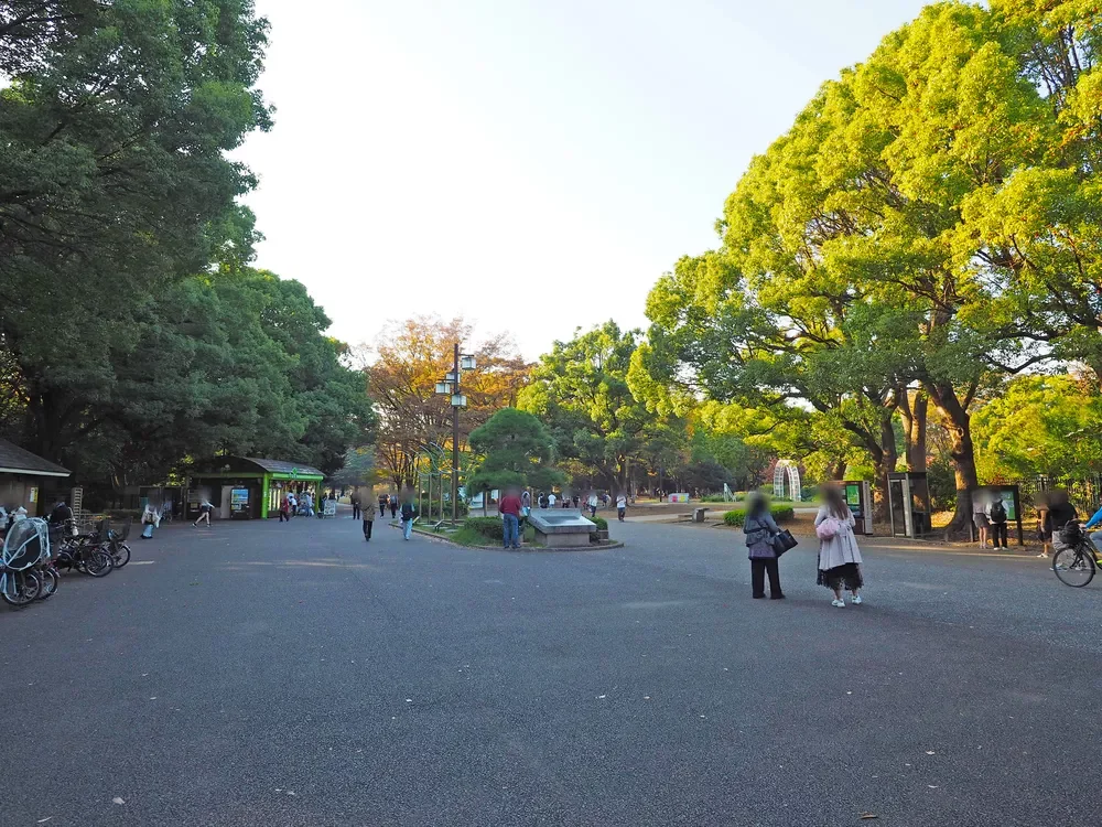 代々木公園
