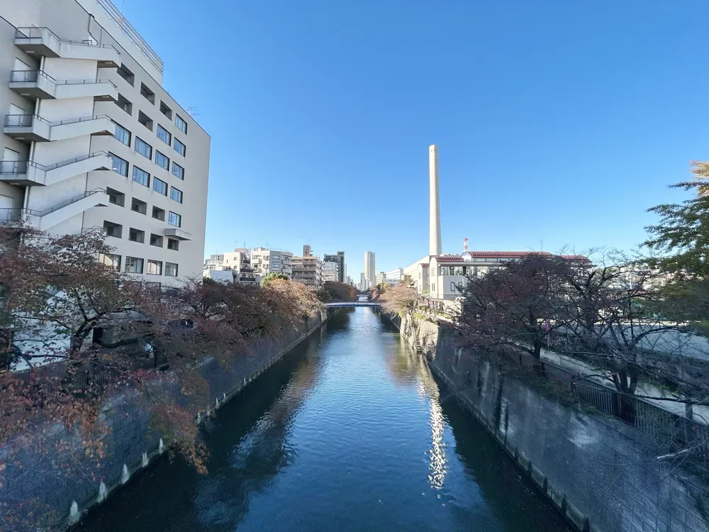 目黒川桜まつり
