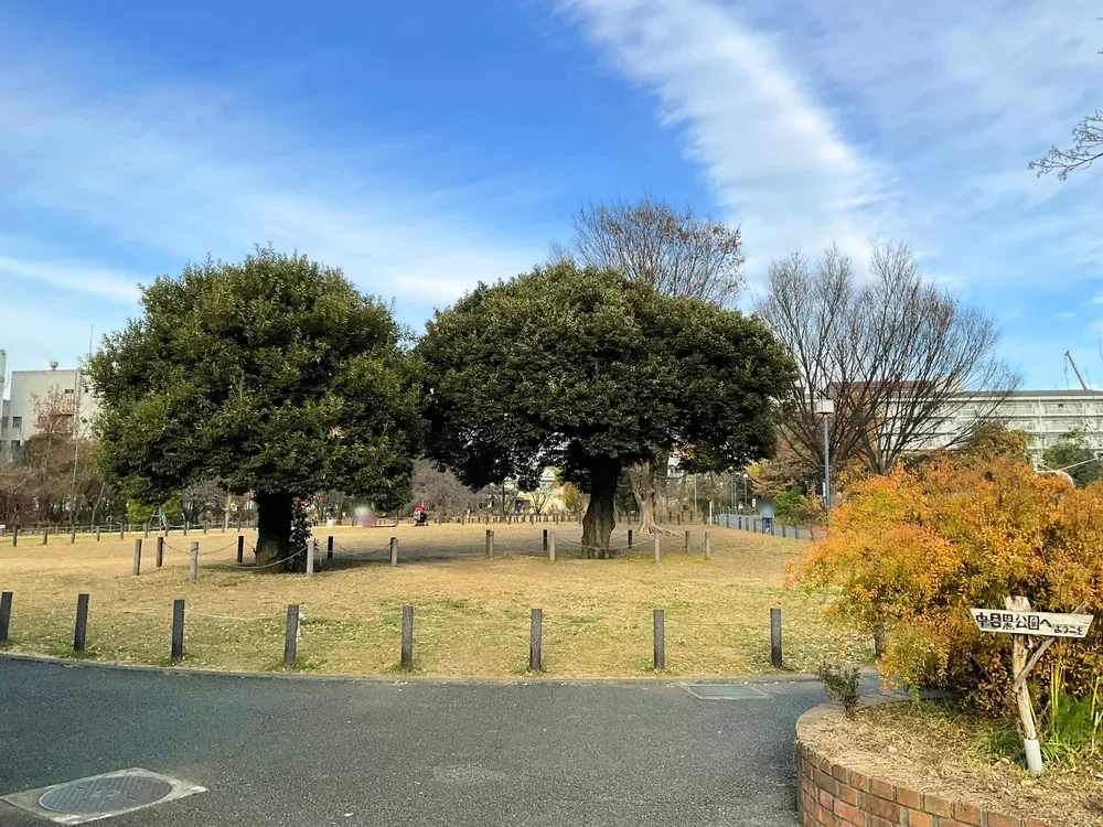 中目黒公園
