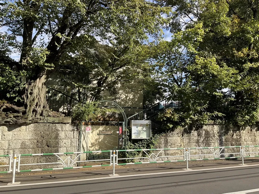 鶯谷さくら幼稚園